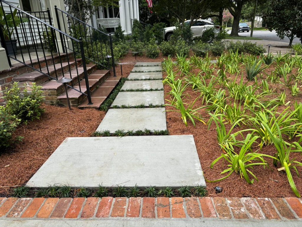 State Street front entry path with oversized concrete pavers, dwarf mondo grass joints, agapanthus, pine straw mulch, and low-voltage landscape lighting.