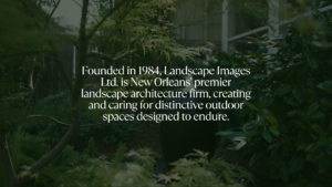 Lush New Orleans garden illustrating Landscape Images Ltd.’s landscape architecture and long-term garden care.