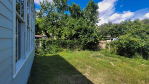Webster Street rear property before construction in 2022, with open grass and overgrown vegetation along the perimeter.