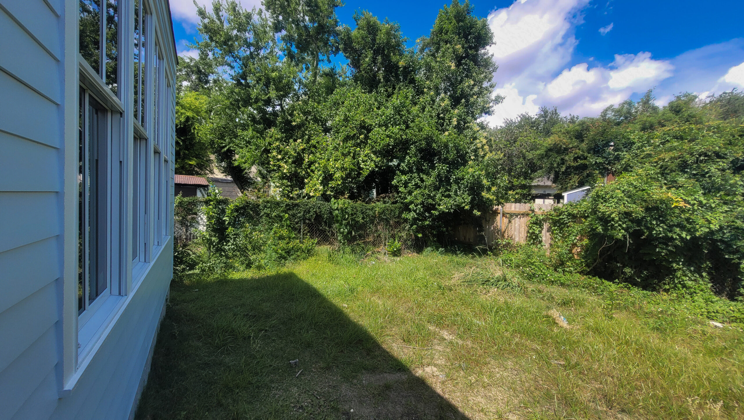 Webster Street rear property before construction in 2022, with open grass and overgrown vegetation along the perimeter.