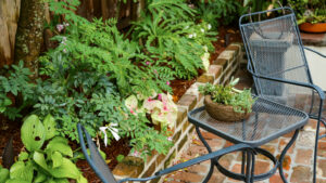 Layered ferns and foliage beside outdoor seating in a Jefferson Avenue garden