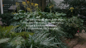 Lush Old Metairie garden with layered shade plantings maintained by Landscape Images Ltd.