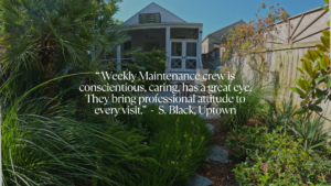 Uptown New Orleans garden with layered tropical plantings and weekly landscape maintenance by Landscape Images Ltd.