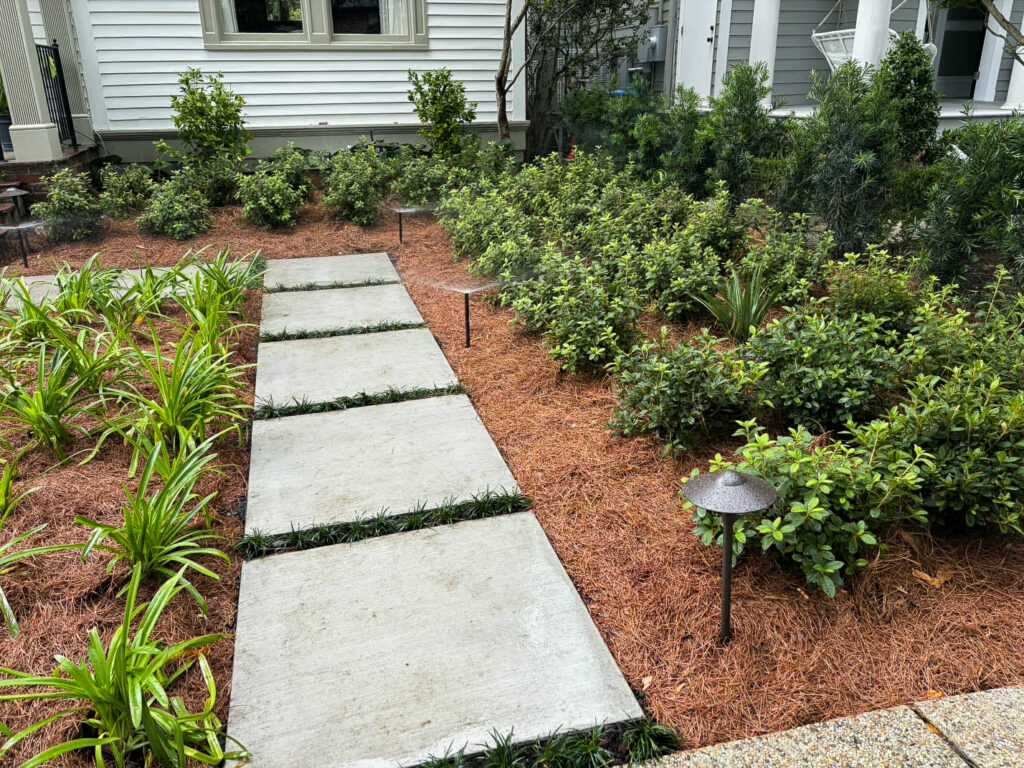 State Street garden path detail with large concrete pavers, dwarf mondo joints, layered shrubs, agapanthus, pine straw mulch, and low-voltage path lights.
