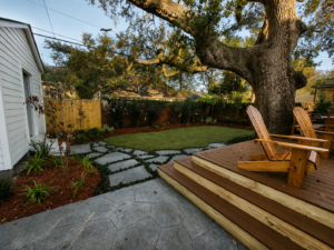 Wooden deck overlooking the mature live oak, new lawn, flagstone path, and layered planting at the Audubon Boulevard garden.