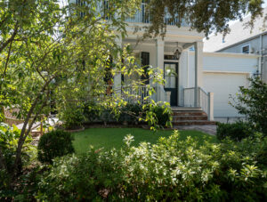 Maintained front garden with clipped hedges and layered plantings framing a New Orleans residence.