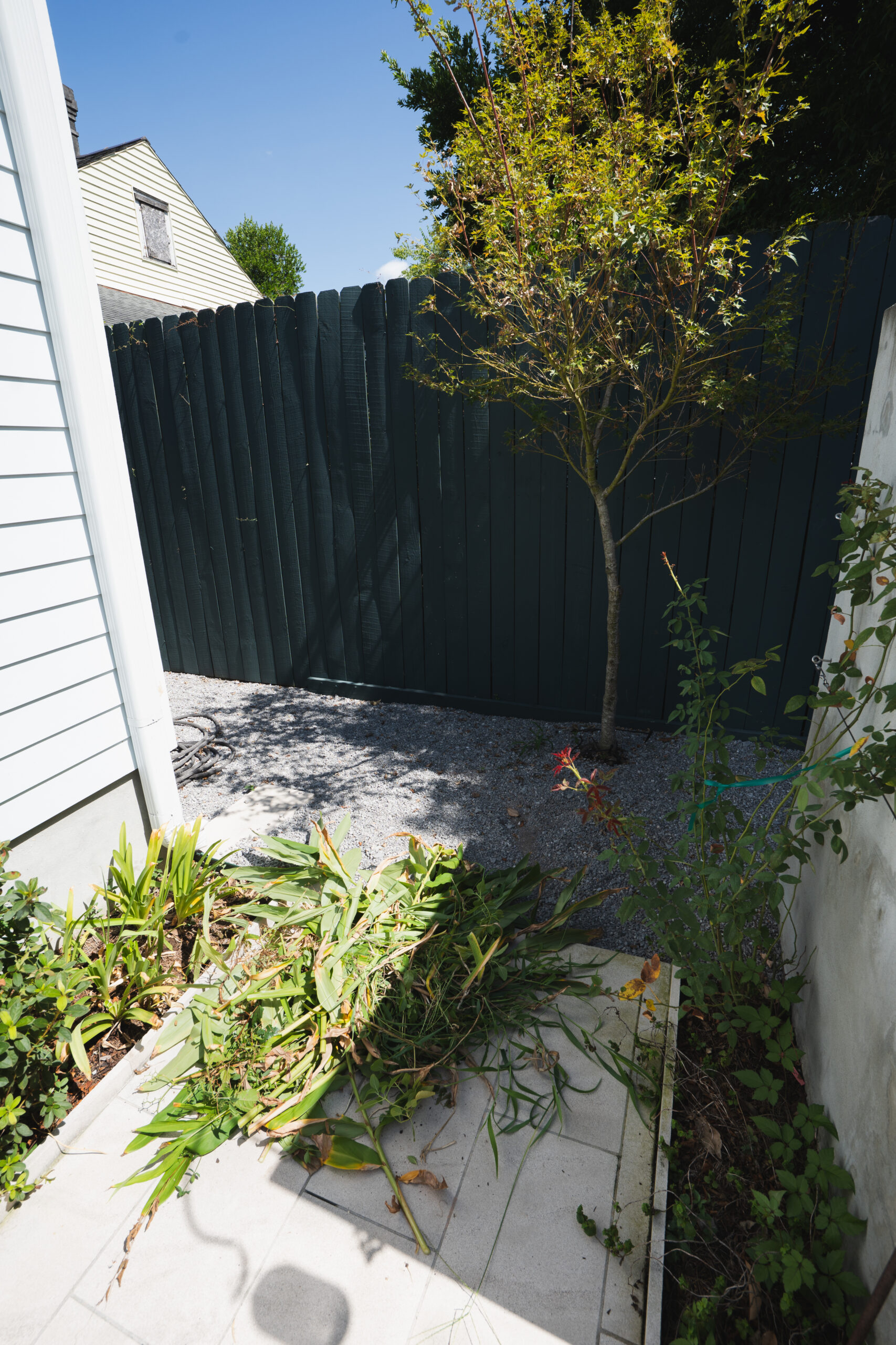 Fresh garden clippings gathered for removal after pruning beside a residential privacy fence.