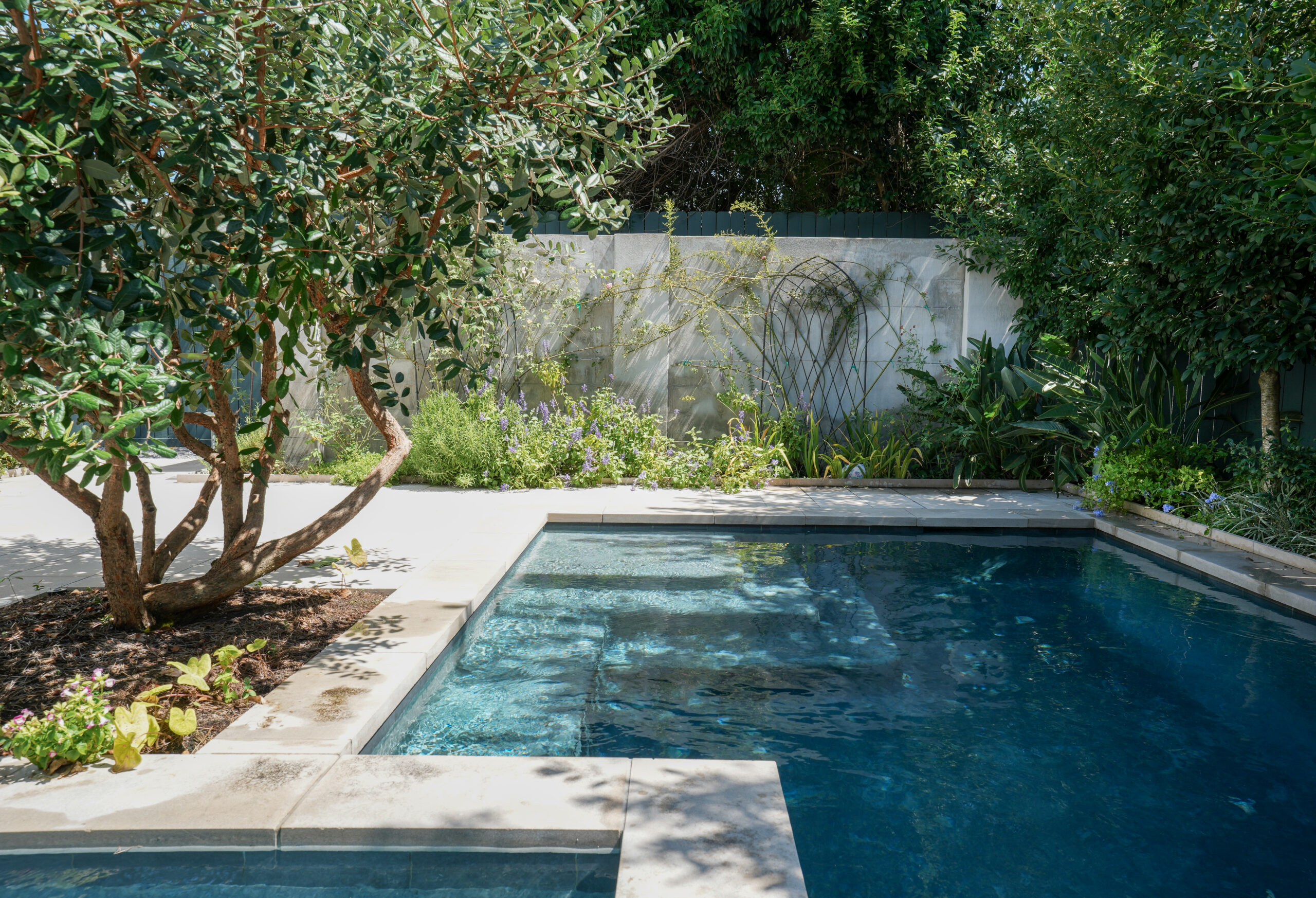 Residential swimming pool framed by maintained garden beds, mature trees, and a white privacy fence.