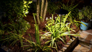 Low-voltage landscape lighting illuminating layered foliage in an Uptown New Orleans garden