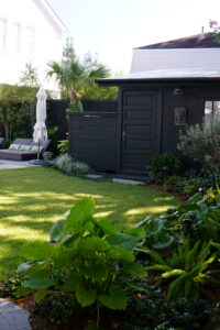 Zoysia lawn and layered tropical planting beside a modern garden shed in Uptown New Orleans