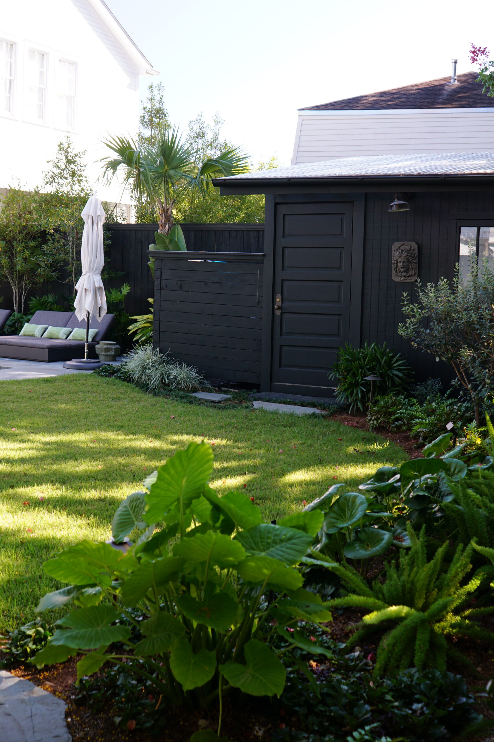 Zoysia lawn and layered tropical planting beside a modern garden shed in Uptown New Orleans