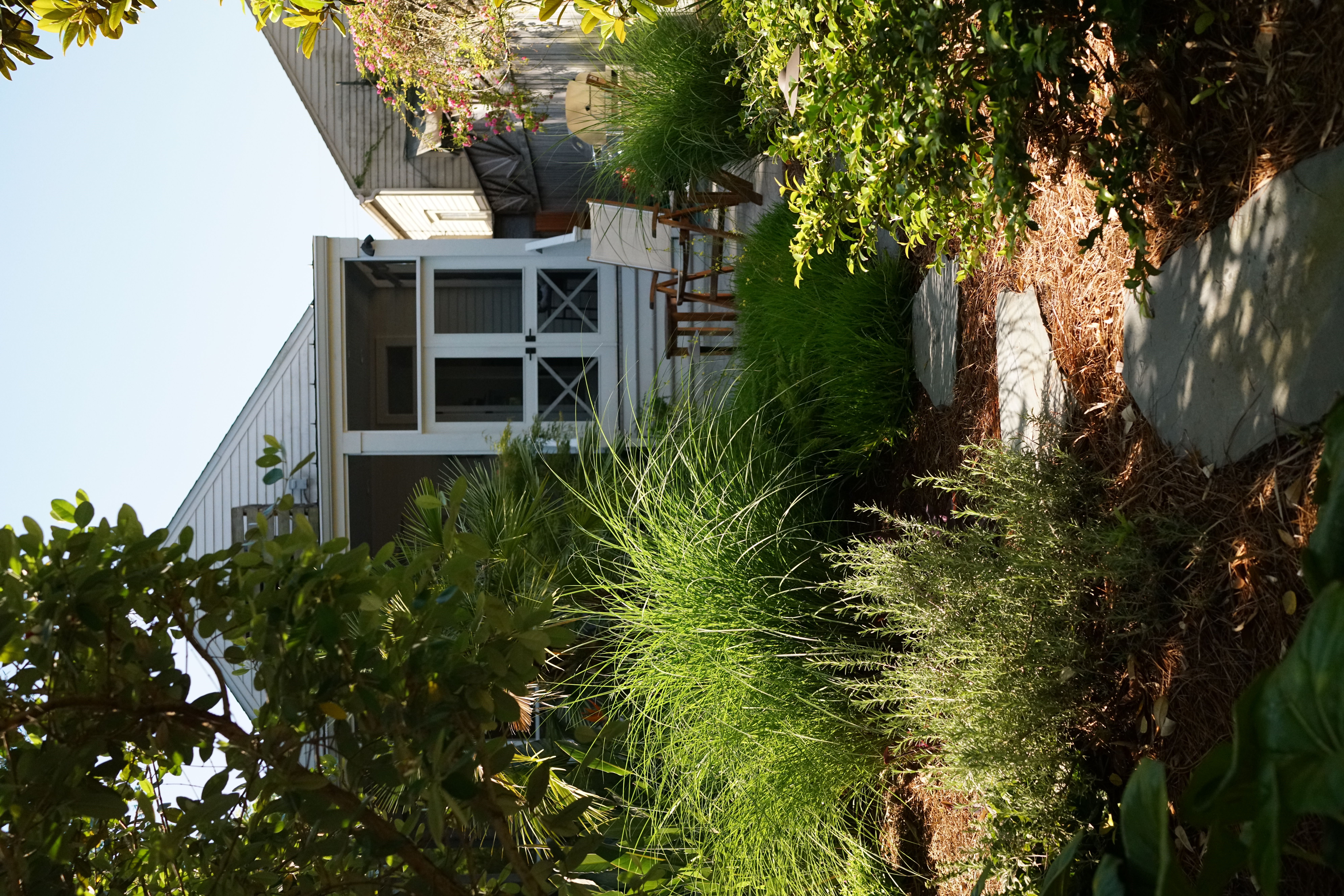 Stepping-stone path through mature ornamental grasses and layered planting toward an Uptown New Orleans porch
