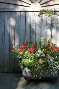 Galvanized planter filled with colorful seasonal flowers in an established Uptown New Orleans garden