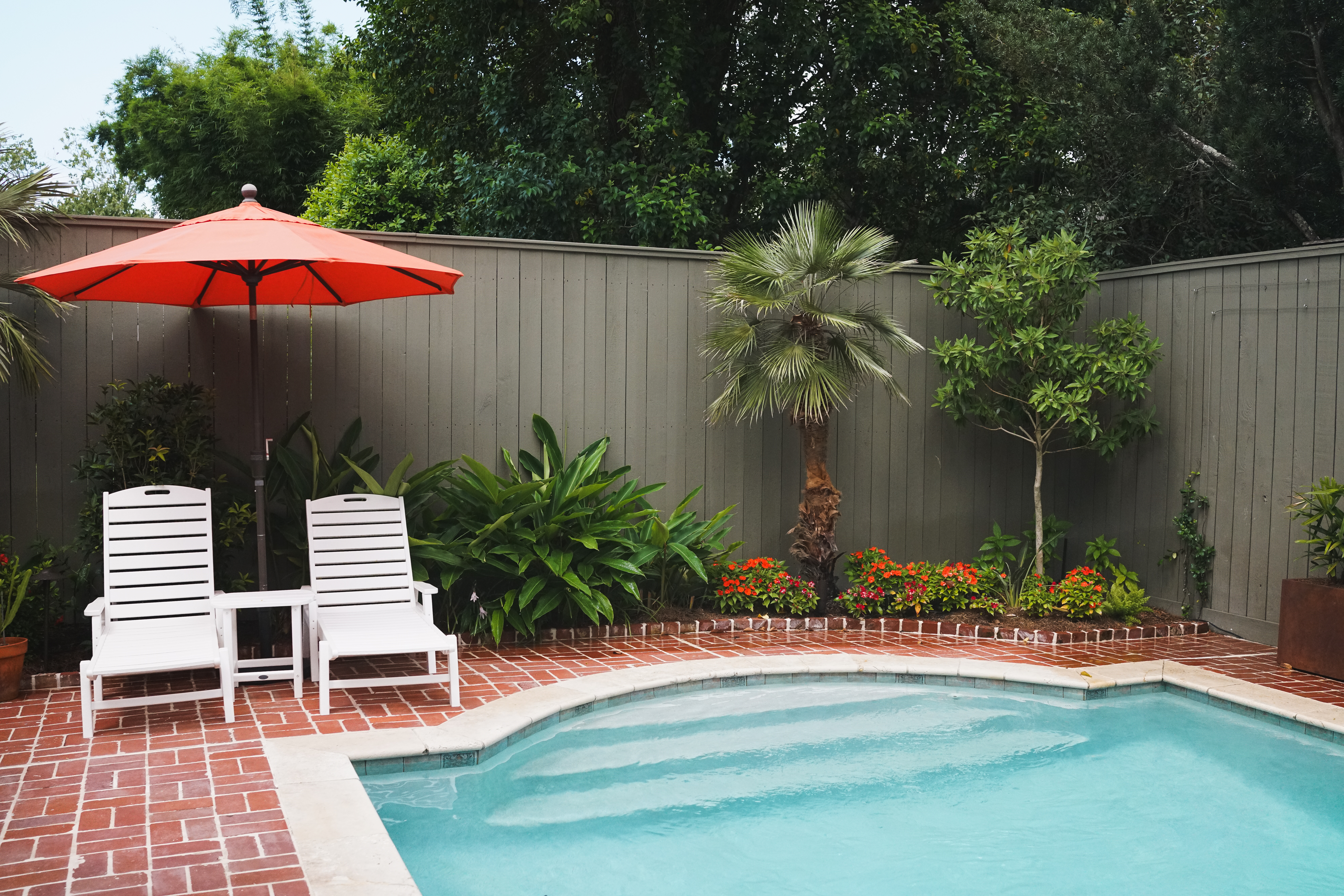Uptown New Orleans pool garden with a brick patio, Mediterranean fan palm, tropical plantings, seasonal color, and privacy fencing.