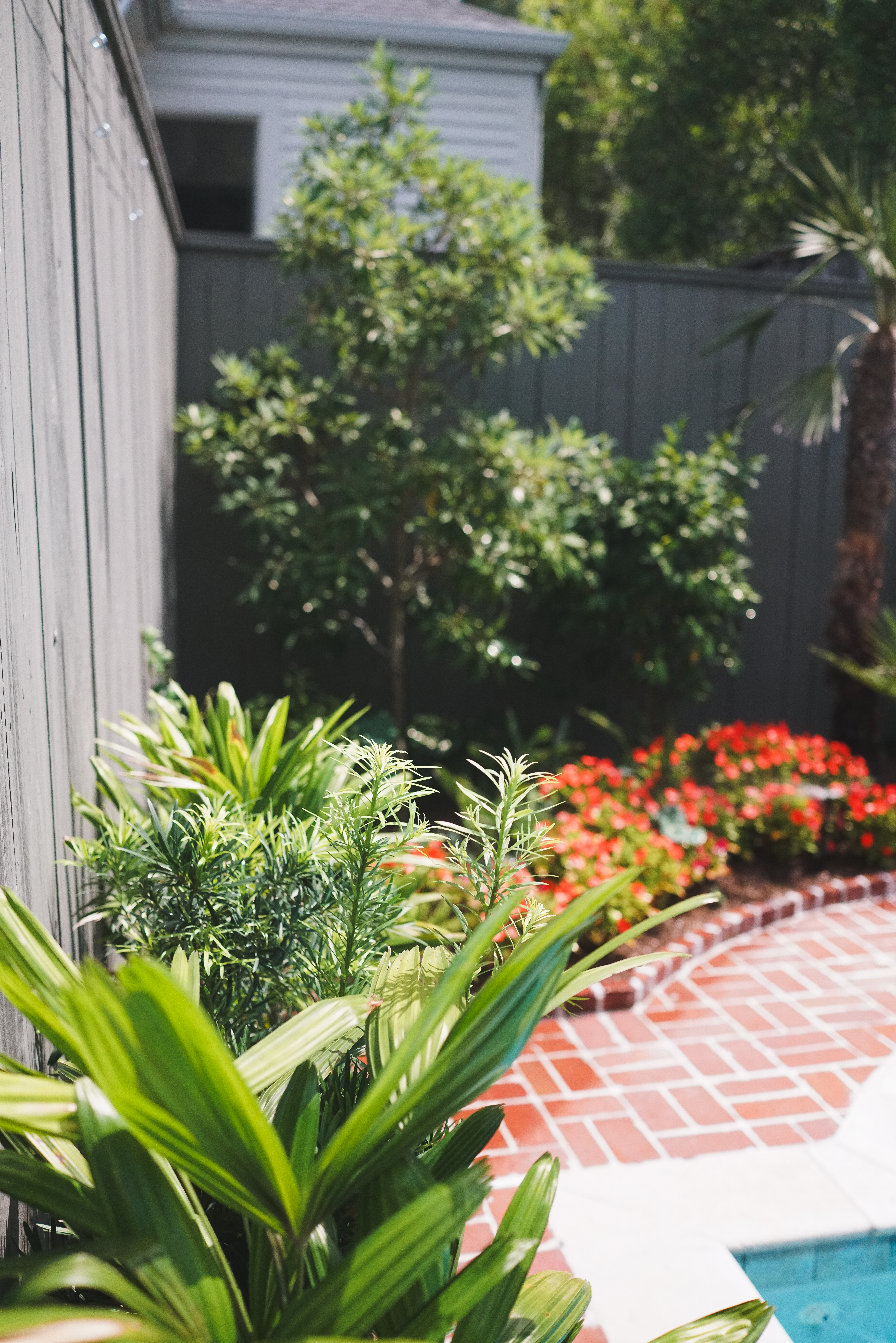 Poolside planting detail with Rhapis palms, Japanese yew, seasonal color, and layered tropical foliage at a State Street residence in Uptown New Orleans.