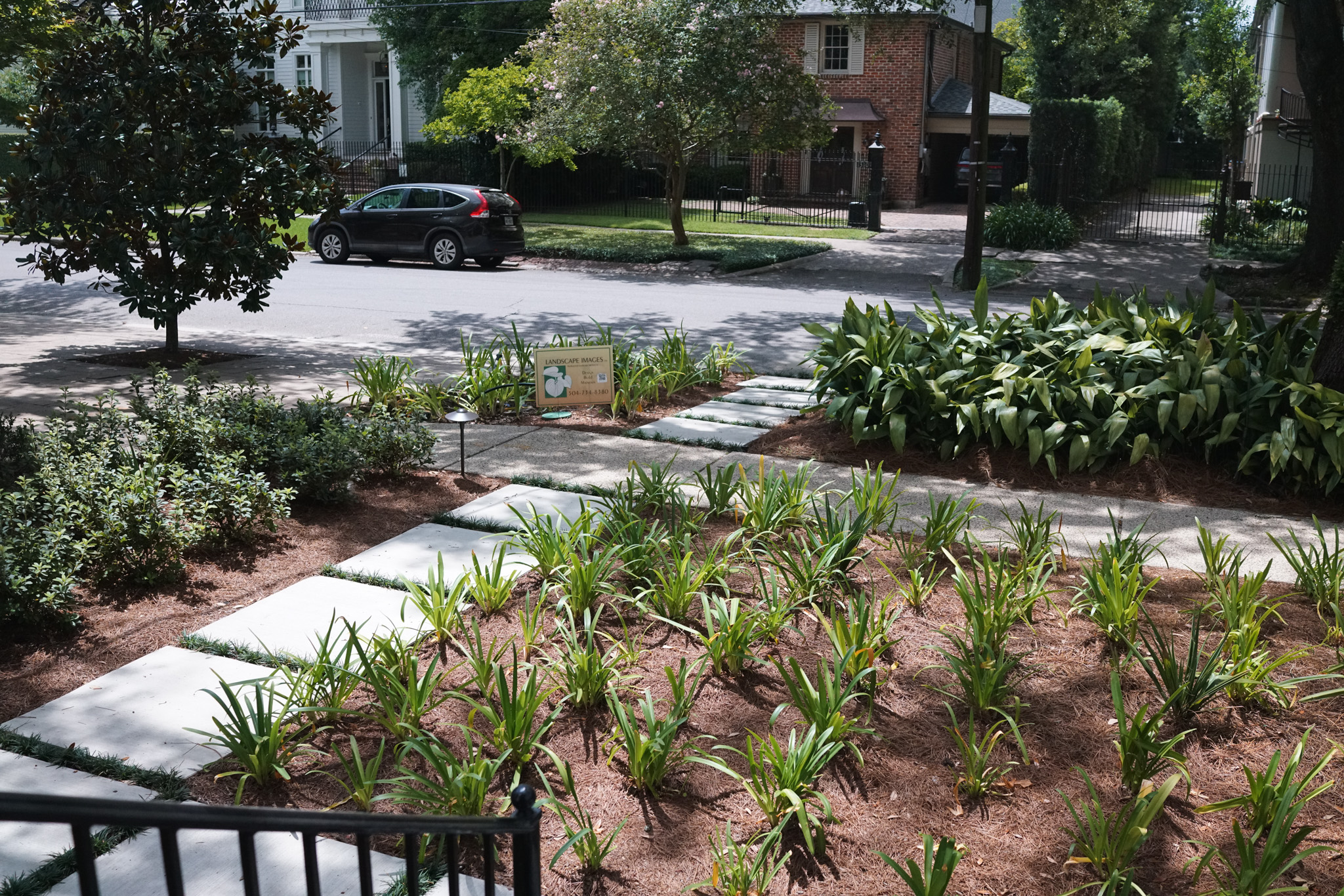 State Street garden with oversized concrete pavers, massed agapanthus, evergreen plantings, pine straw mulch, and low-voltage lighting.
