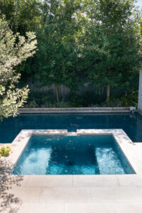 Swimming pool and raised spa framed by mature evergreen trees and layered planting in the Webster Street garden.