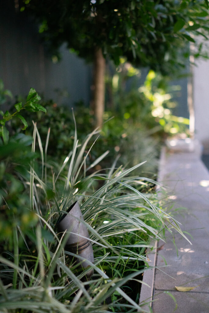 Low-voltage path light nestled among variegated ornamental grass beside a shaded residential walkway.
