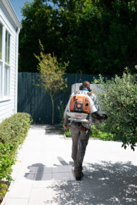 Landscape maintenance crew member carrying a backpack blower along a residential garden path.