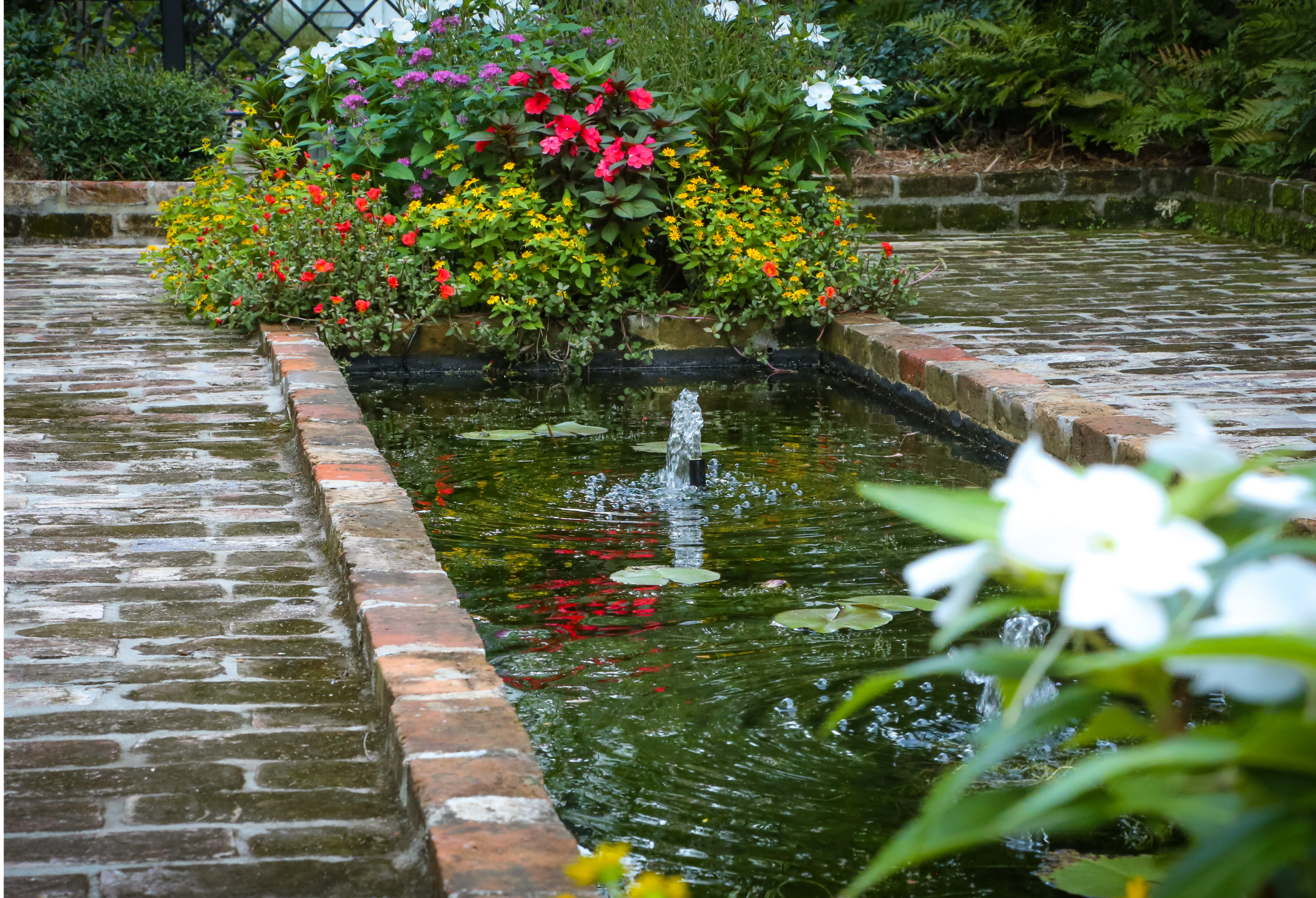 Brick-lined garden fountain with bubbling water, water lilies, and colorful seasonal flowers in an Uptown New Orleans landscape