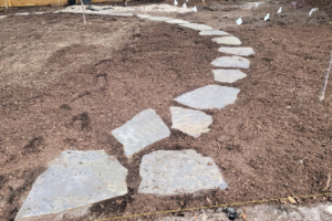 Curved flagstone garden path being installed through prepared planting beds beneath mature trees.