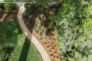 Overhead view of a curved garden walkway bordered by lawn, pine-straw planting beds, and layered greenery.