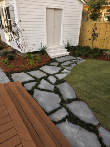 Irregular flagstone path with planted joints connecting the wooden deck and garden shed at the Audubon Boulevard garden.