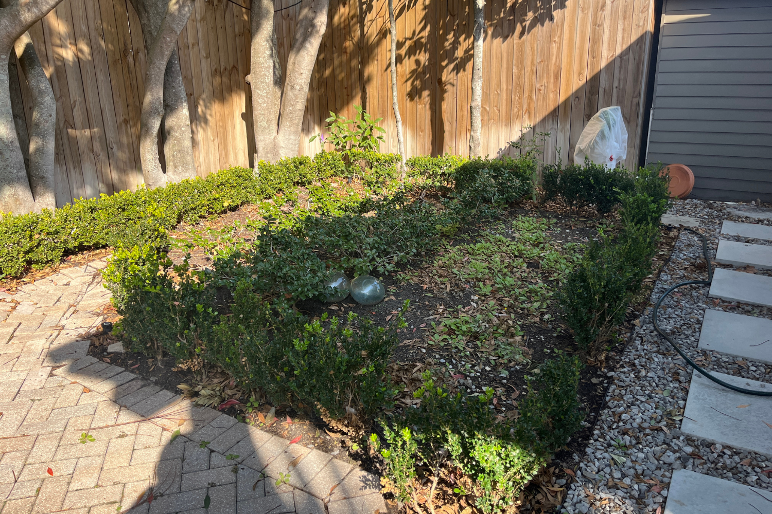 Before landscape installation, a shaded Constance Street garden viewed from the covered porch with mature trees, existing pavers, low hedging, and a wood privacy fence.