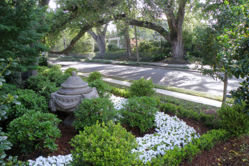 New Orleans landscape design with clipped shrubs, white flowers, stone urn, and mature live oaks in a formal front garden.