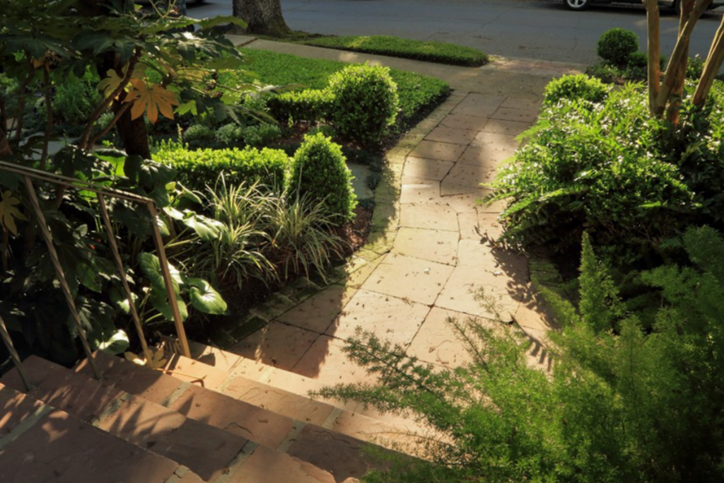Residential landscape design with clipped boxwood, white flowers, brick paths, lawn, and layered foundation planting in New Orleans.