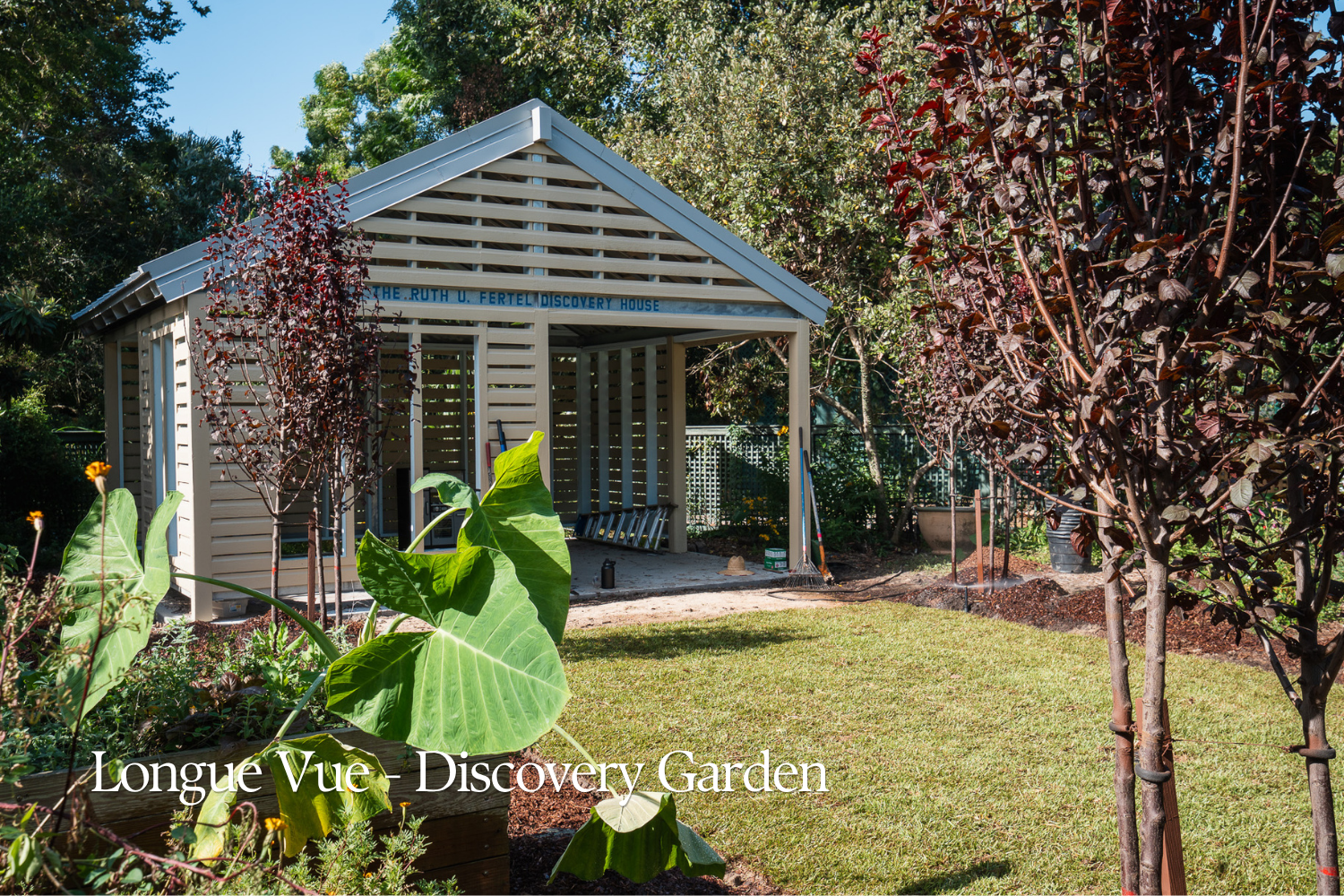 The Ruth U. Fertel Discovery House at Longue Vue, surrounded by young trees, tropical planting, lawn, and garden beds.