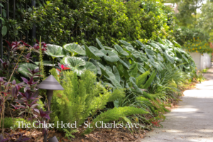 Lush tropical planting and low-voltage landscape lighting along a walkway at The Chloe Hotel on St. Charles Avenue.