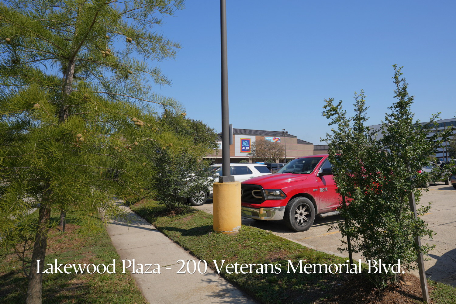 Landscaped sidewalk and parking area at Lakewood Plaza on Veterans Memorial Boulevard, with young trees and maintained planting beds.