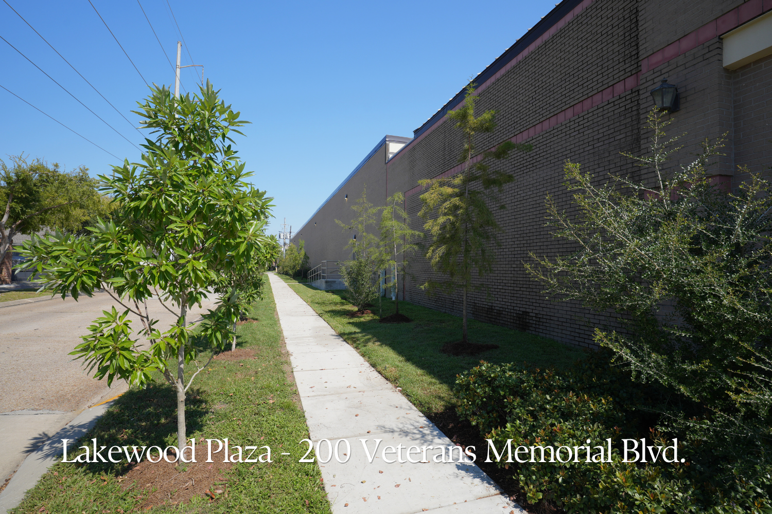 Young trees and maintained planting beds along the sidewalk beside Lakewood Plaza on Veterans Memorial Boulevard.