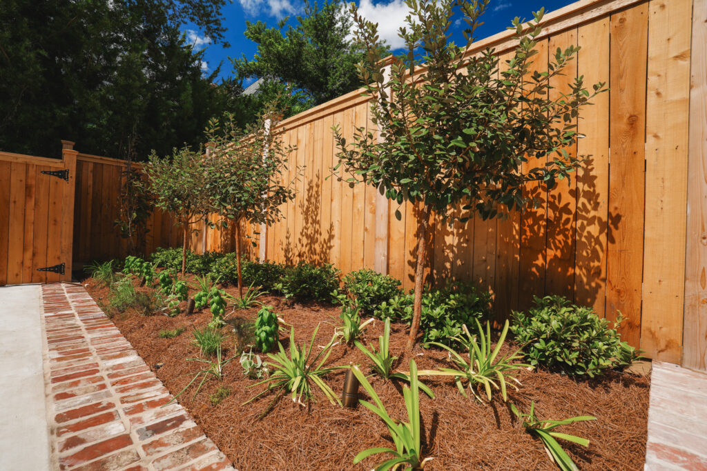  New Orleans front garden with a brick walkway, flowering shrubs, young ornamental tree, and wrought-iron fence.