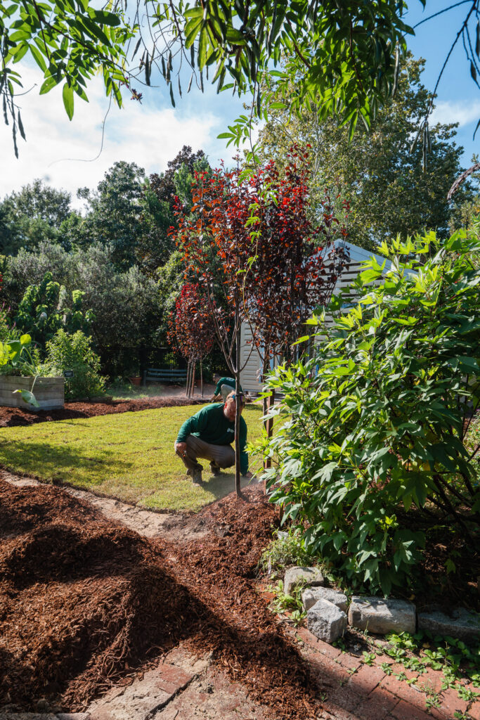 Landscape Images crew member tending a newly planted tree in the Longue Vue Discovery Garden in New Orleans.