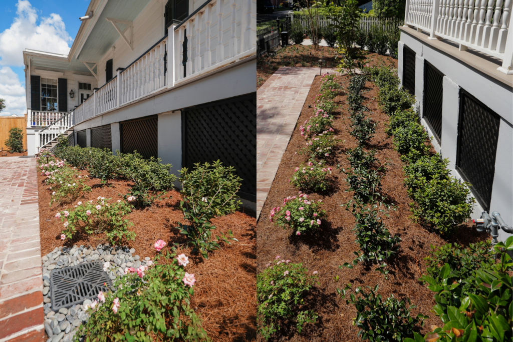 Brick walkway and flowering shrubs planted along the raised porch of a New Orleans home.