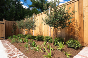 Young fruit trees, herbs, and layered planting set against a wood privacy fence.