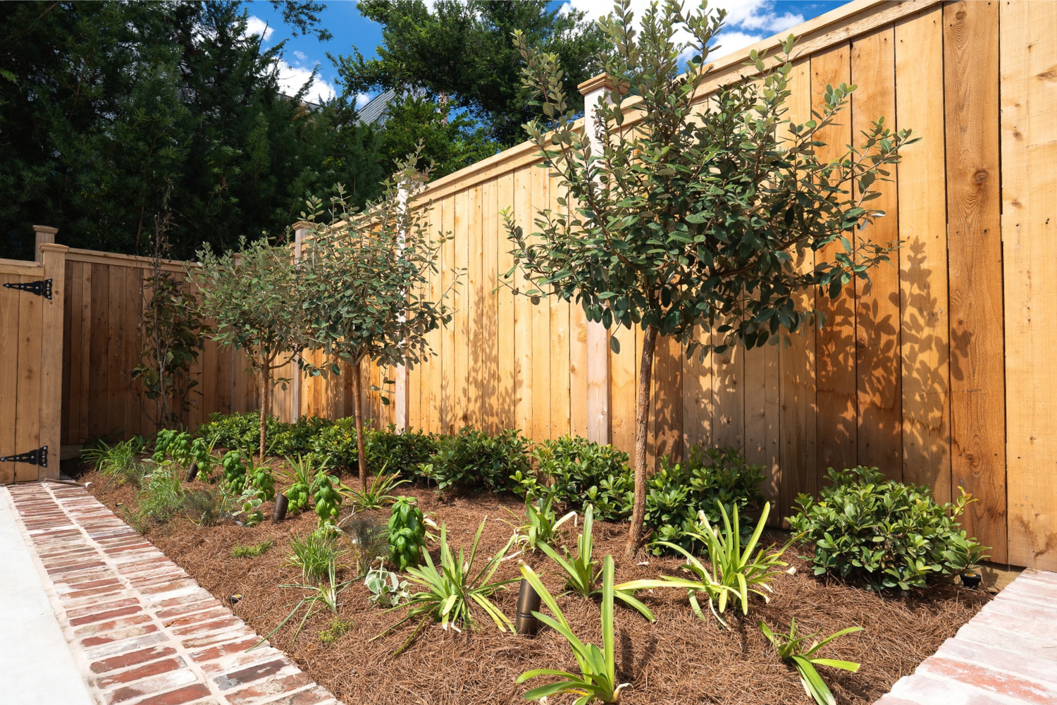 Young fruit trees, herbs, and layered planting set against a wood privacy fence.