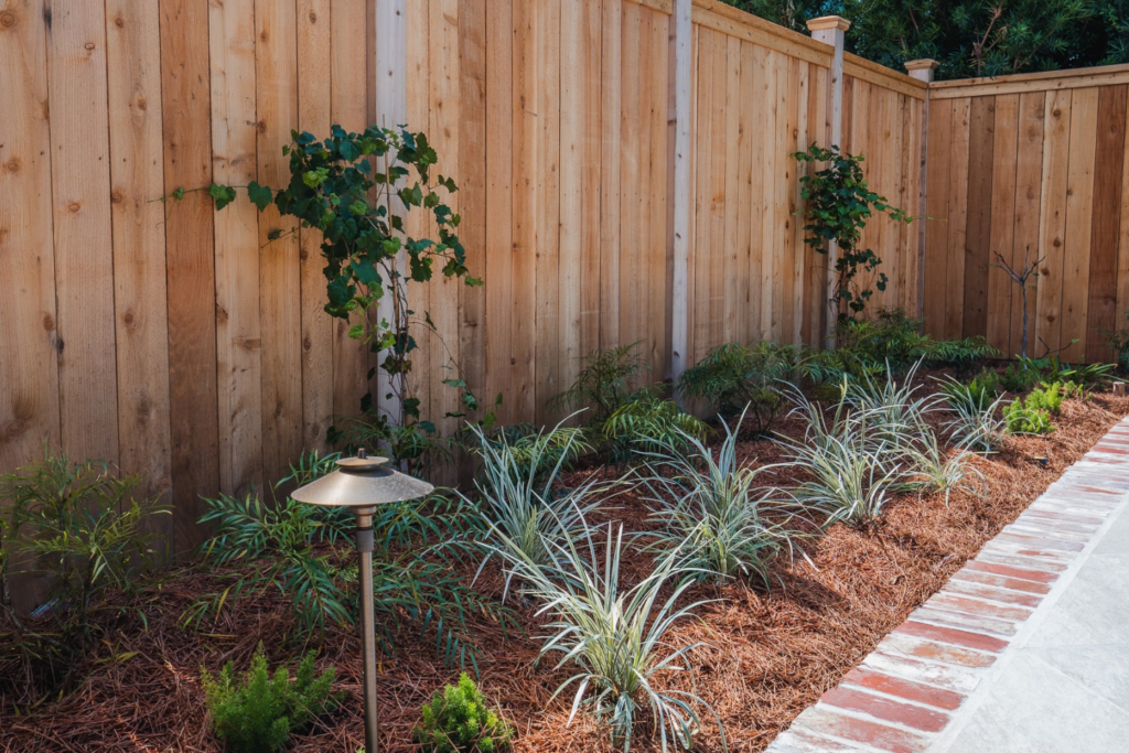 Garden bed with climbing vines, ornamental grasses, and landscape lighting beside a wood fence.